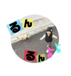 クリームとひめとすてっぷ（個別スタンプ：4）
