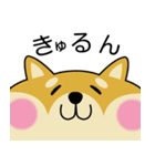 甘え上手な 柴犬の蜜ちゃん（個別スタンプ：3）