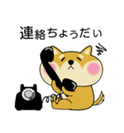 甘え上手な 柴犬の蜜ちゃん（個別スタンプ：5）