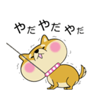 甘え上手な 柴犬の蜜ちゃん（個別スタンプ：7）