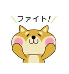甘え上手な 柴犬の蜜ちゃん（個別スタンプ：10）