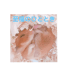 まめさん日和（個別スタンプ：2）