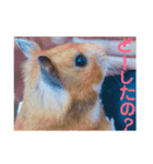 まめさん日和（個別スタンプ：6）