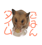 まめさん日和（個別スタンプ：7）