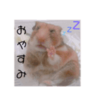 まめさん日和（個別スタンプ：8）