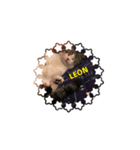N.family.LEON（個別スタンプ：7）