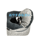 めめのダルダルスタンプ（個別スタンプ：1）