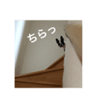 めめのダルダルスタンプ（個別スタンプ：2）
