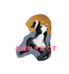 めめのダルダルスタンプ（個別スタンプ：6）
