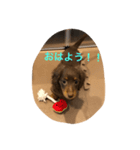 ライムの一日（個別スタンプ：3）