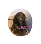 ライムの一日（個別スタンプ：6）