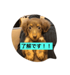 ライムの一日（個別スタンプ：8）