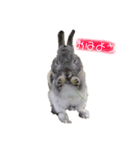 よしおの日常2（個別スタンプ：3）