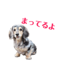 あめとかかとここ（個別スタンプ：3）