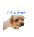 あめとかかとここ（個別スタンプ：4）