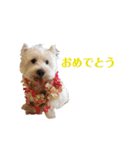 あめとかかとここ（個別スタンプ：8）