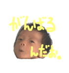 ハルりんスタンプ（個別スタンプ：5）