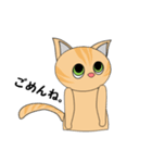 ねこにこちゃんず（個別スタンプ：19）