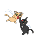 ねこにこちゃんず（個別スタンプ：24）