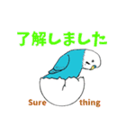 インコの動くスタンプ 2（個別スタンプ：9）