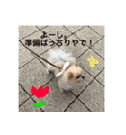maronさん、だよ。（個別スタンプ：6）
