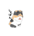 エキゾチックなぷっち。（個別スタンプ：37）