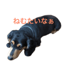 くうさんの日常（個別スタンプ：3）