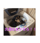 くうさんの日常（個別スタンプ：4）
