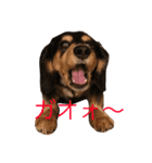 くうさんの日常（個別スタンプ：6）