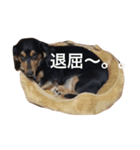 くうさんの日常（個別スタンプ：7）