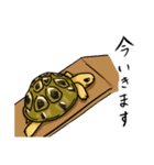 亀と黒柴（個別スタンプ：9）