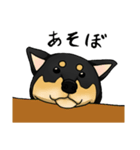亀と黒柴（個別スタンプ：10）