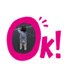 kは黙って背中で語る（個別スタンプ：5）