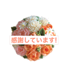 フラワーケーキスタンプ（個別スタンプ：3）