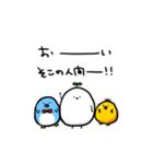 かぶちゃんず。（個別スタンプ：14）