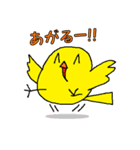 黄色いカナリア。わが家の鳥！（個別スタンプ：20）