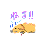 ヨークシャーテリアのようなキイチくん（個別スタンプ：2）