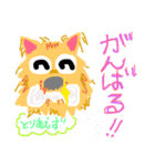 ヨークシャーテリアのようなキイチくん（個別スタンプ：6）