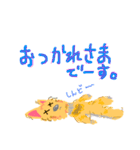 ヨークシャーテリアのようなキイチくん（個別スタンプ：8）
