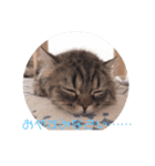 ペチュくんの日常（個別スタンプ：4）