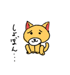 ぼくのこれくしょん（個別スタンプ：8）