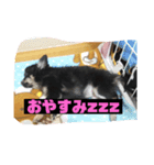 daiコレ1（個別スタンプ：6）
