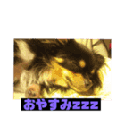 daiコレ2（個別スタンプ：4）