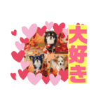 daiコレ2（個別スタンプ：5）