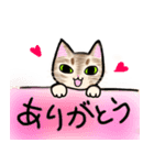 ソマリ猫の日常（個別スタンプ：8）