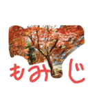 きせつといろんなスタンプ（個別スタンプ：4）