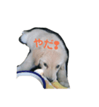 ゴールデンレトリバーのらいたん（個別スタンプ：6）
