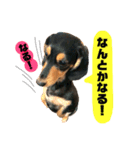 ナルスタンプ3（個別スタンプ：7）