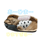 はなとのん（個別スタンプ：5）