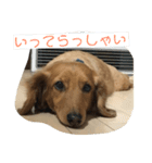 はなとのん（個別スタンプ：6）